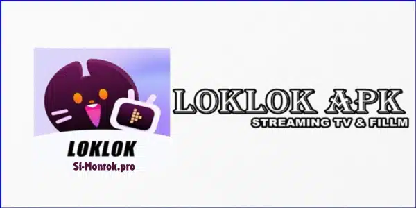 Who Should Be Using Loklok Streaming App Over Other Apps